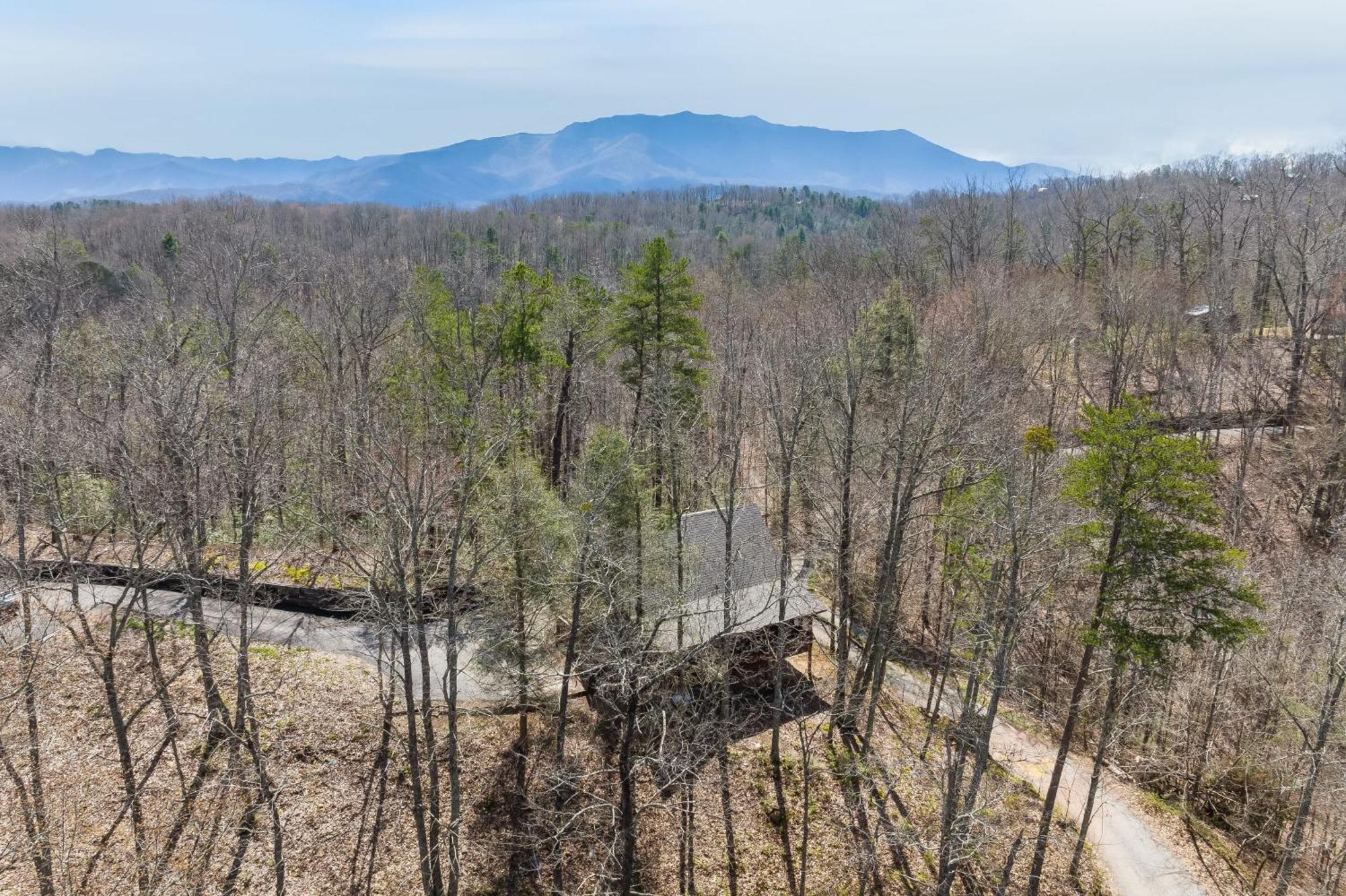 Dudley IV By Avantstay Cosy Cabin W Hot Tub Sweeping Views Pigeon Forge Buitenkant foto
